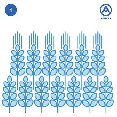 Trigo Aerzen DScrew