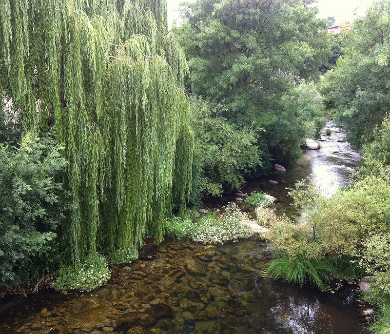 Agua limpia
