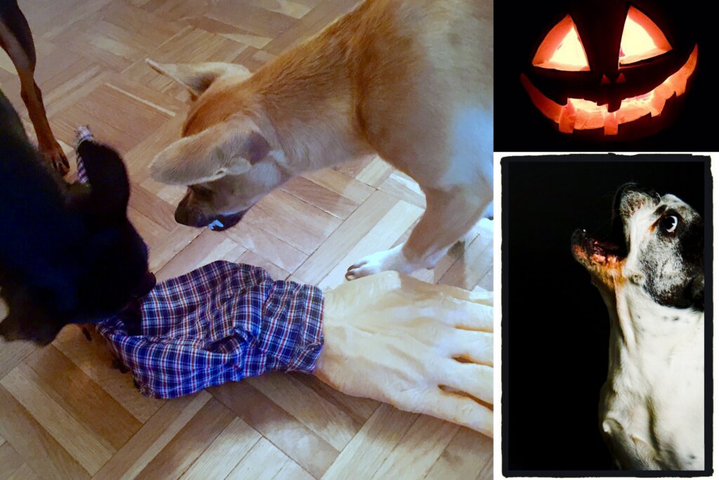 collagehalloween