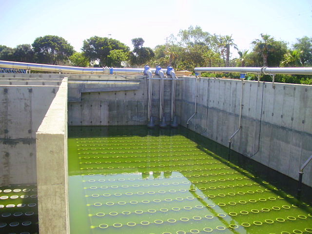 Depuración I