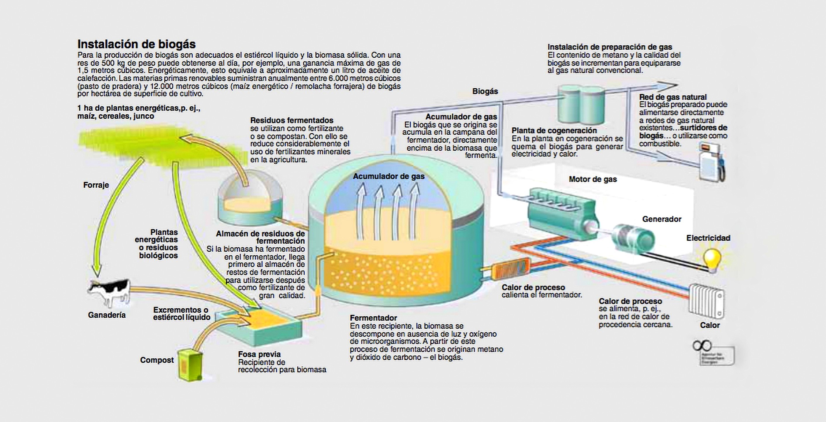 fotobiogas