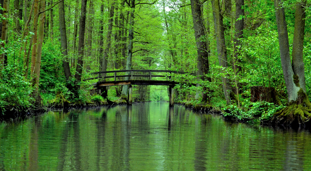 natura